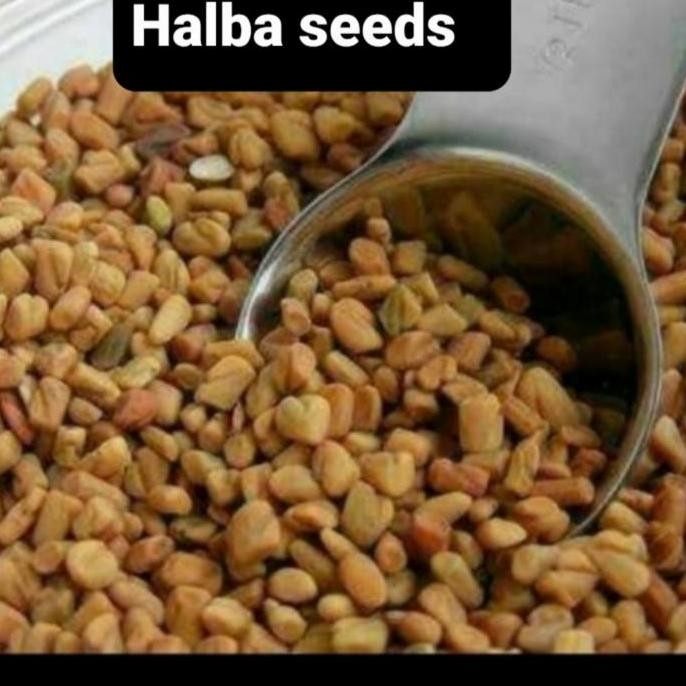 

] FENUGREEK SEED / METHI 100 GRAM