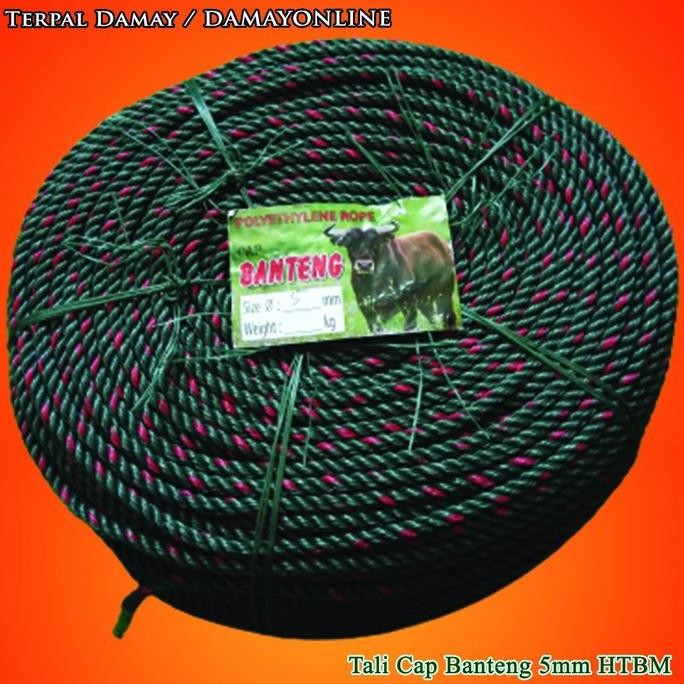 

Tali Tambang 5Mm Hijau Bintik Merah / Rol ( Harga Per Rol ) Kualitas Terbaik Harga Termurah