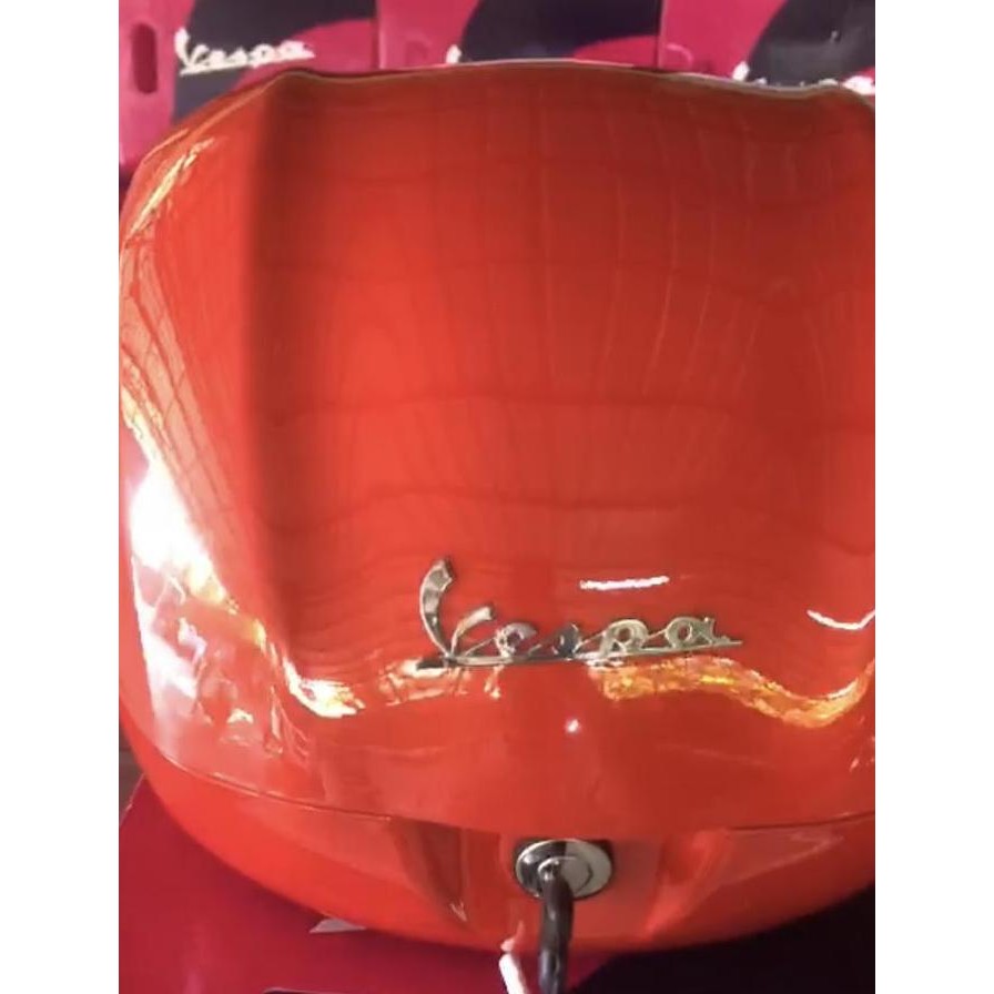 Box vespa sprint / primavera (inc support)