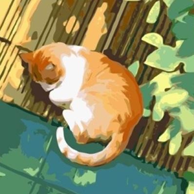 

Paint By Numbers 20X20Cm Kucing/Cat Series