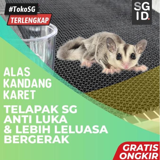 Alas Kandang Karet Tatakan Kotoran Hewan Sugar Glider Kucing Musang