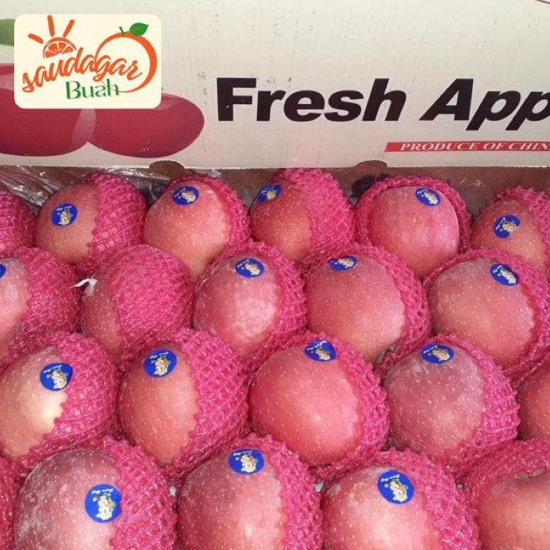 

Terjangkau - BUAH APEL FUJI RRC MANIS UNTUK JUS 1KG ,,