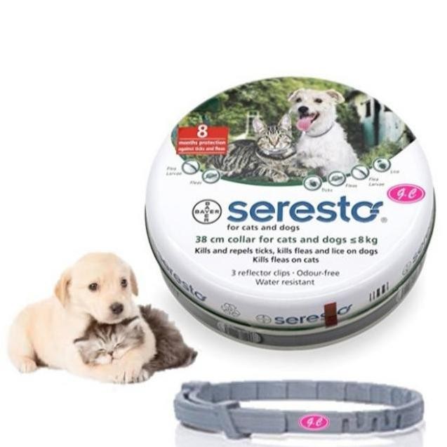 Seresto Kalung Kutu For Small Dog & Cat - Seresto Collar For Dog Ampuh