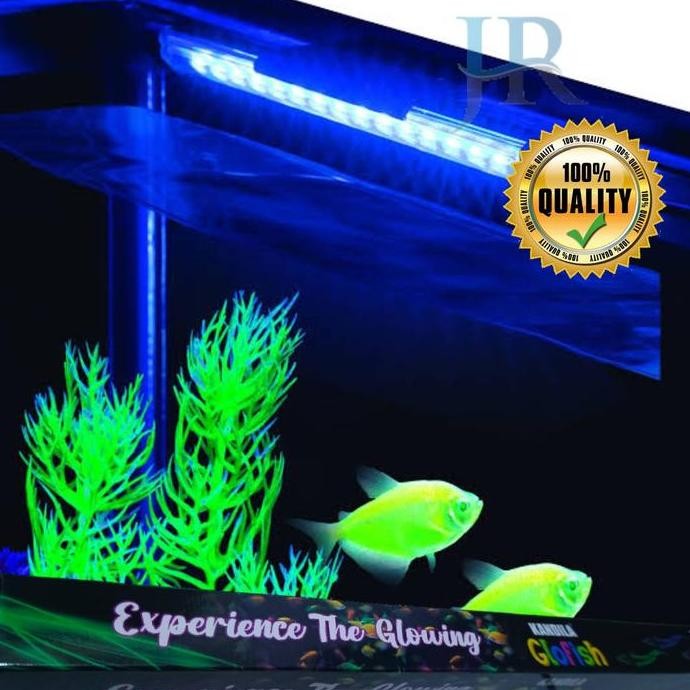 Lampu view aquarium LED celup Kandila Glofish tetra glowing color