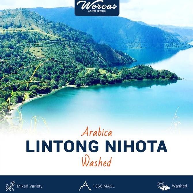 

Lintong Arabica Green Bean 1Kg (Biji Kopi Mentah) Kualitas Terbaik Harga Termurah