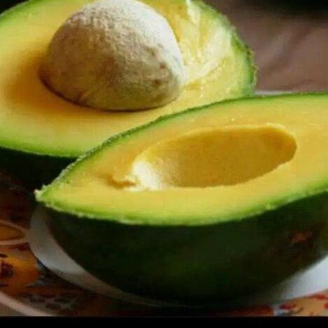 

Tersedia Alpukat Mentega Miki 1 Kg Buah Segar Premium dari Sayurbox