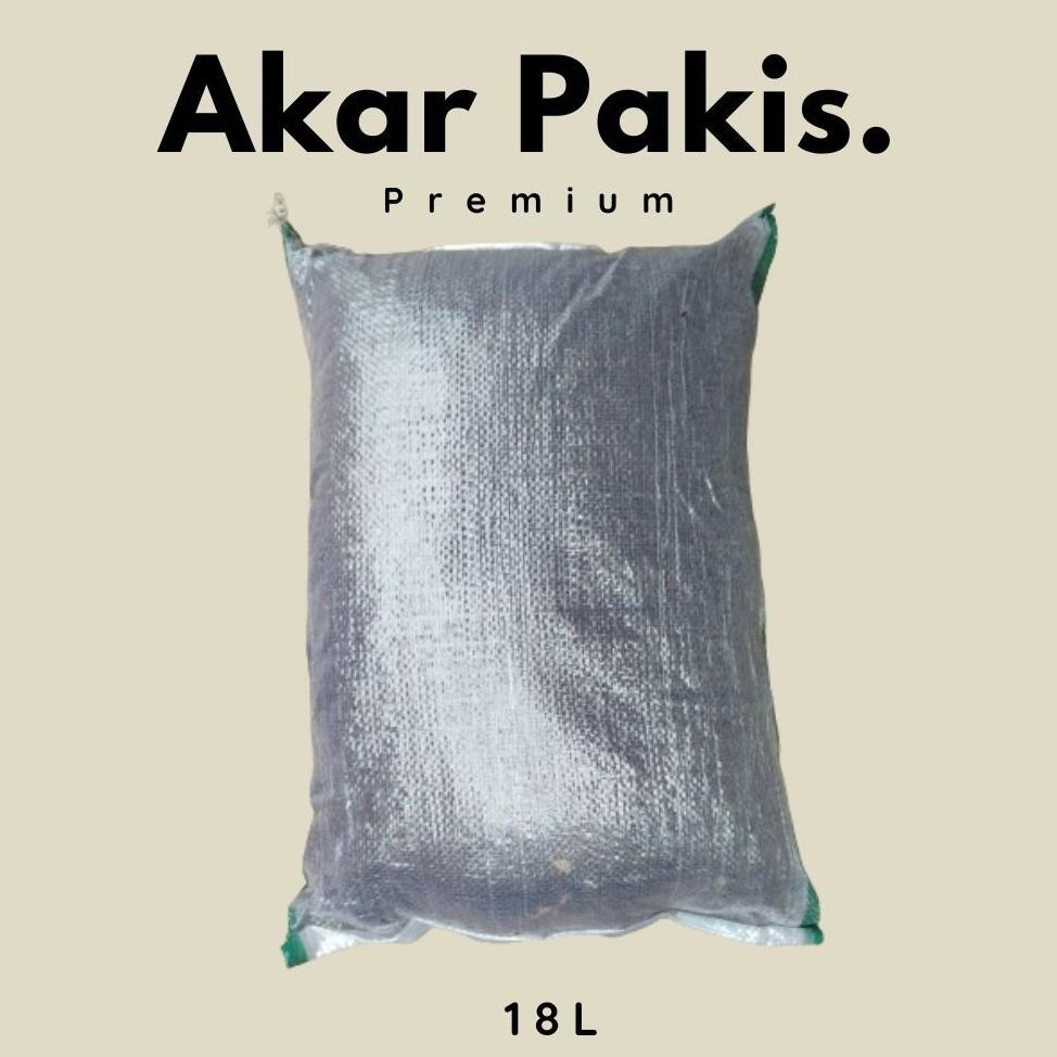 Akar Pakis Cacah Karung Nugi