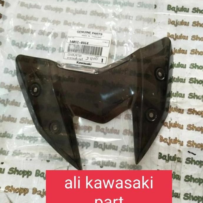 winsil/winshield/visor z800 z 800 orinal