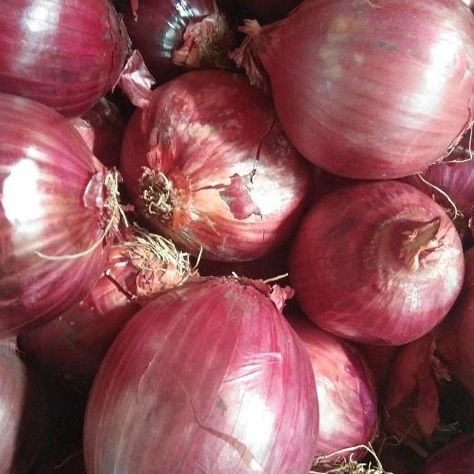 

Diskon! Sunrise Bawang Putih Tunggal 200 Gram - Herbal Alami & Masakan