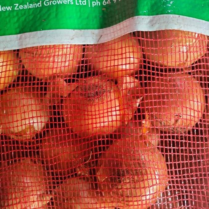 

Diskon! Bawang Bombay Besar 5kg - Segar Kualitas Ekspor