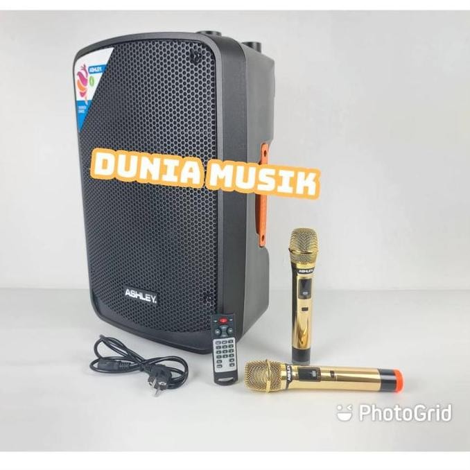 Speaker Portable Ashley Ir500 Ir 500 / Ir500 I R500 Original Kode 5549