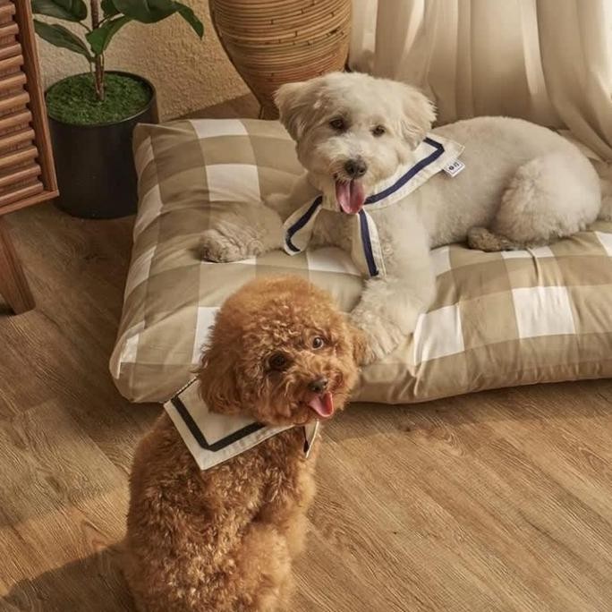 Hot Sale Woofidoo The Sack Market Twilly School/ Collar Tali Anjing Dog Cat