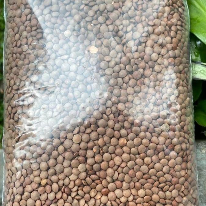 

Diskon! Adas Coklat / Brown Lentil / Kacang Lentil Kering Bumbu & Masakan