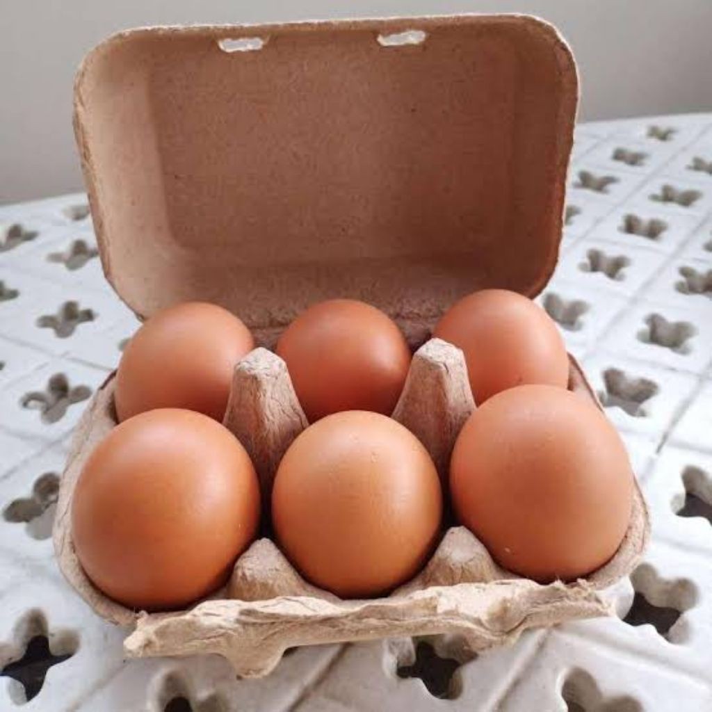 

telur isi 6pcs