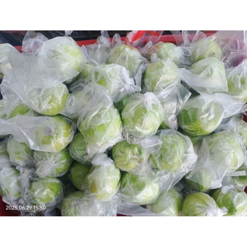 

Jambu kristal 5 KG