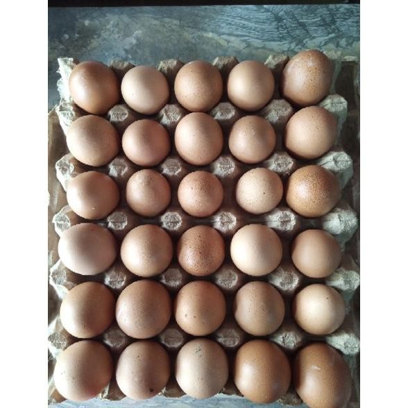 

Telur ayam negeri 1 Tray isi 30butir aSt