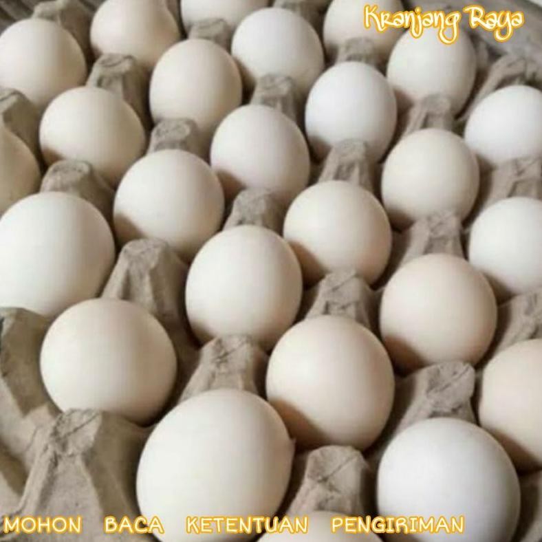 

Telur Ayam Kampung 6 butir aSt