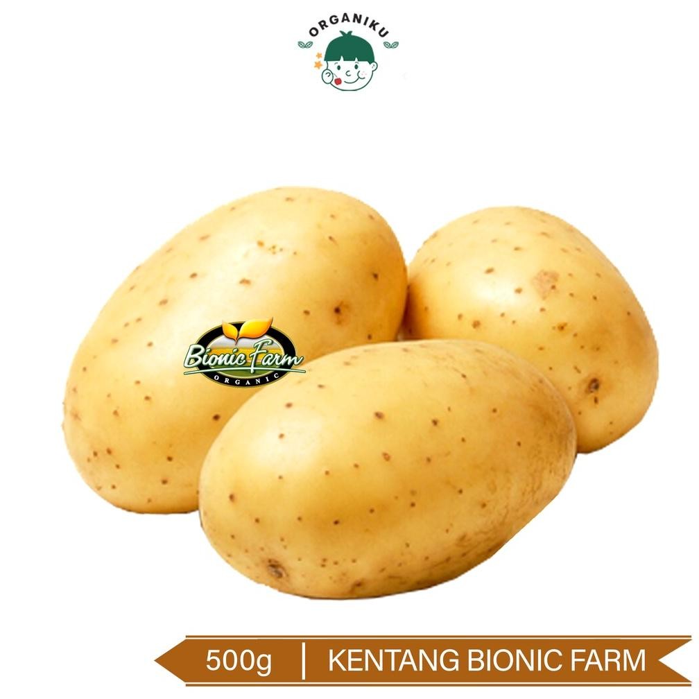 

Kentang Organik Bionic Farm 500g / Organic Potato Bionic Farm 500g aSt