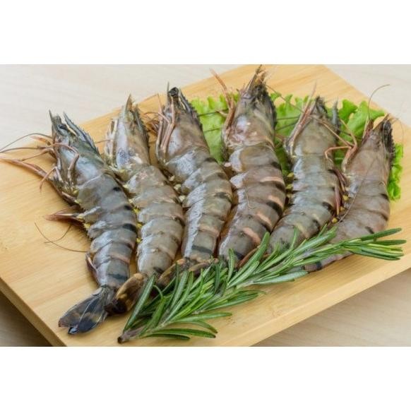 

Udang tiger / udang windu / black tiger prawn kualitas export @1kg aSt