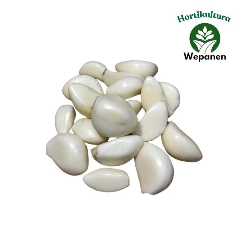 

Instant Bawang Putih Sinco Kupas Bersih 500gr aSt