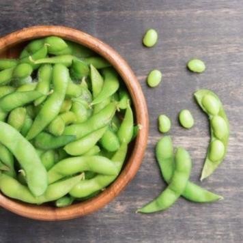 

Benih Bibit Kacang Kedelai - Edamame Jepang banyak manfaat isi 20 biji