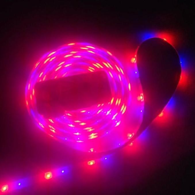 (Allthebest) Lampu Led Strip RGB Warna Warni IP44 Anti Air 12 Volt 12v Waterproof