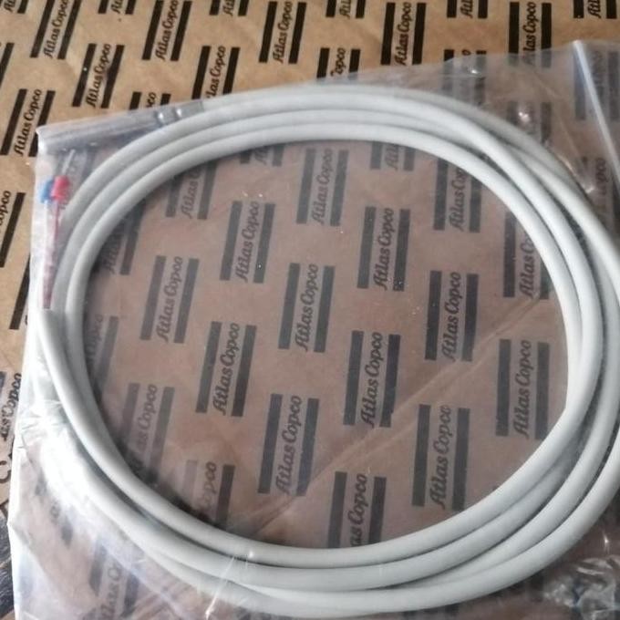 Pt1000 Temperature Sensor Diskon