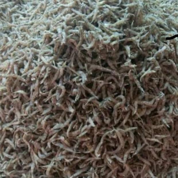 

Viral Ikan Seribu/Ikan Penja Si-19