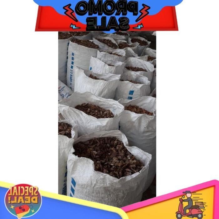 

Smile Today Kepala Udang Vanami (Udang Tambak) Kering Kemasan 1 Kg Asli Murni