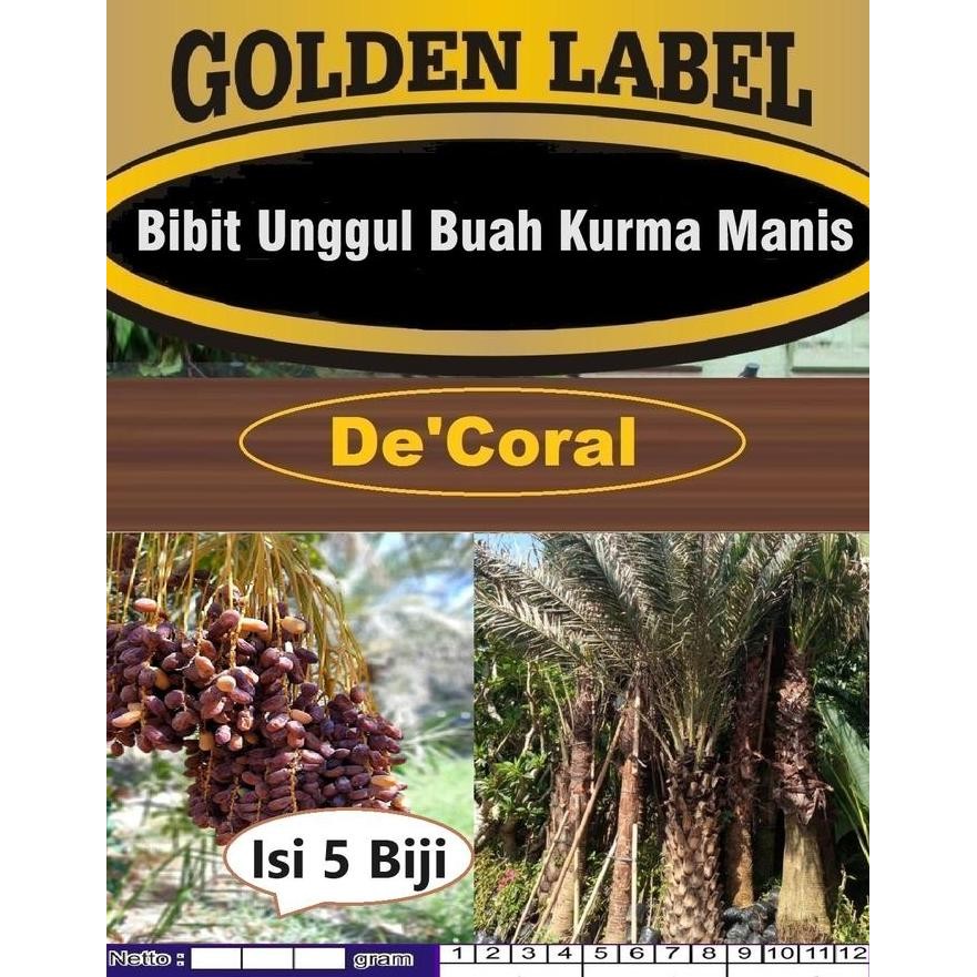 Bibit Unggul Buah Kurma |Biji Pohon Kurma |Bibit Kurma PREMIUM