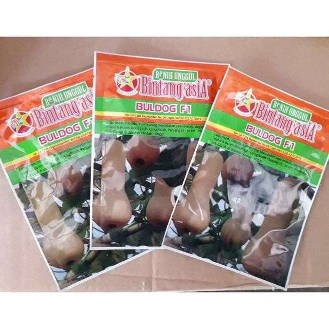 BIBIT BUAH LABU MADU BULDOG BINTANG ASIA 10gr PREMIUM