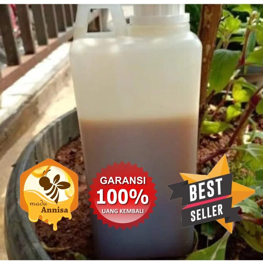

(Terbaru) madu hutan sialang jambi asli 1kg madu hutan sialang asli madu murah | madu jakarta madu annisa (Terlaris)