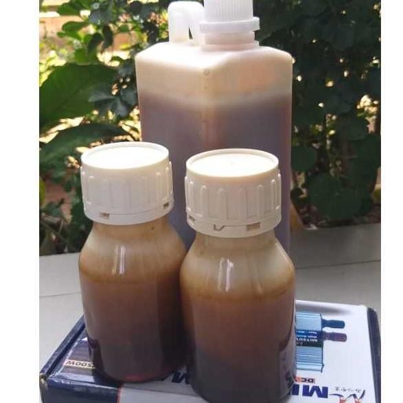 

(Terbaru) MADU ASLI MURNI (HUTAN SIALANG) 1KG (Terlaris)