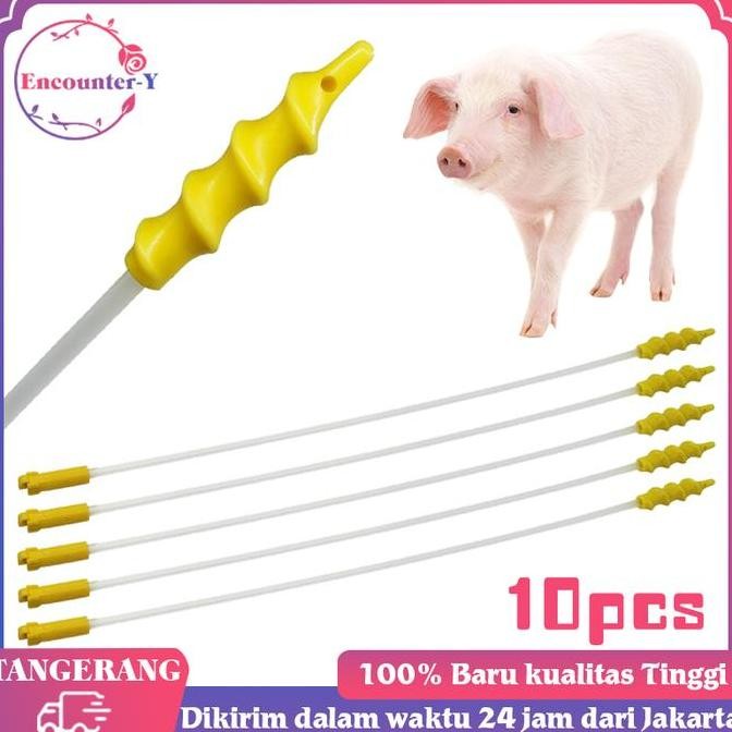 TERBARU KATETER INSEMINASI BUATAN BABI SPIRAL | ALAT IB TERNAK BABI