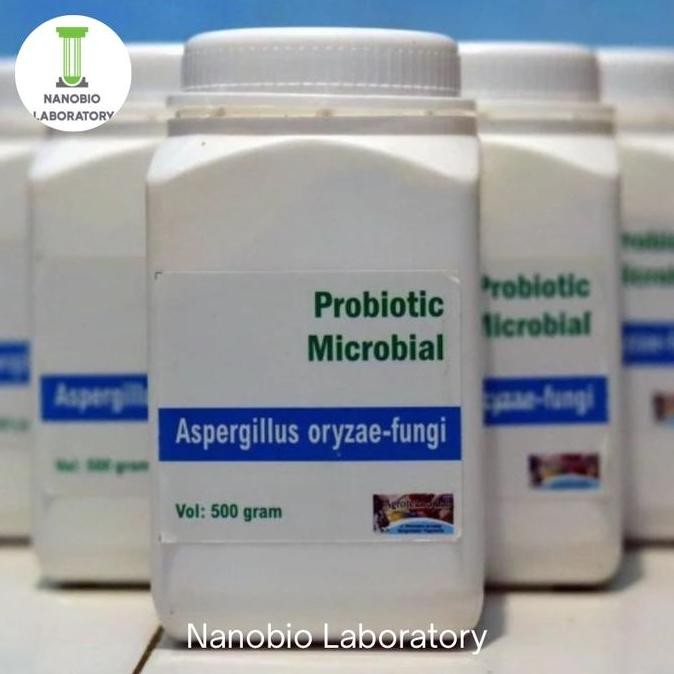 

Jamur Kecap / Koji / Aspergillus Oryzae Kualitas Terbaik Harga Termurah