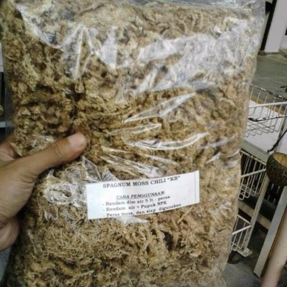 Media Anggrek spagnum mos atau mos putih MURAH