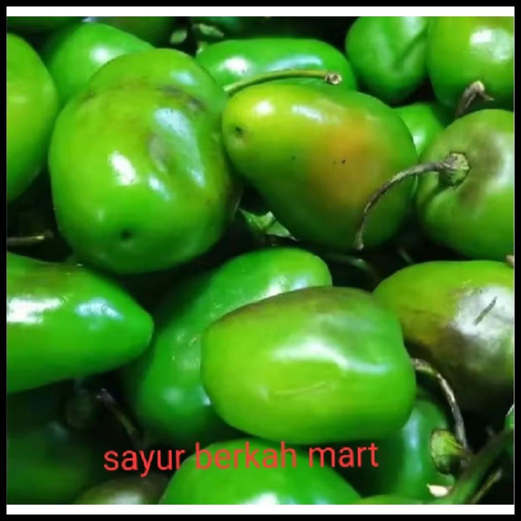 

CABE GENDOT SEGAR 100G,250G