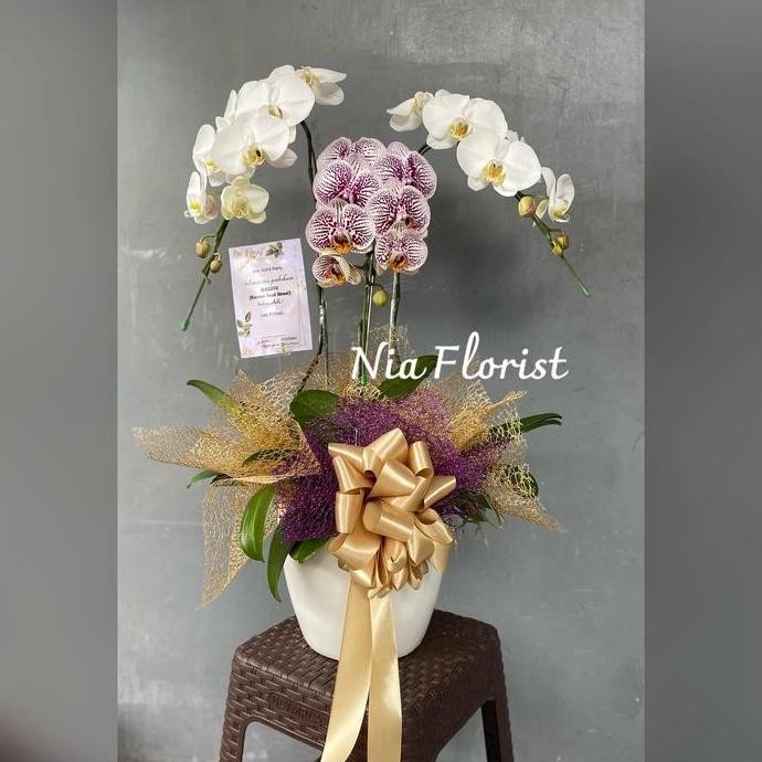 

Ready Hampers Imlek Bunga Anggrek - Parcel Chinese New Year Elegan