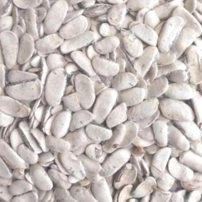 

(Allthebest) Biji Mahoni Kupas 500 gram - Biji Buah Mahoni Kupas