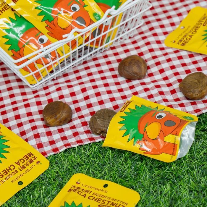 

CCF [RS-ALL VARIANT] URSNACKS Mega Chestnut 38gr - Kacang Traveller Bikin Kenyang - Halal BPOM Food Peanut Cemilan