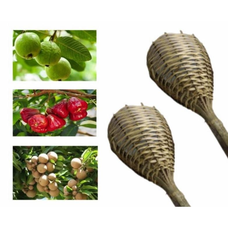 NEW PROMO Alat Pemetik Buah Alat Bantu Petik Buah Bahan Bambu Brongsong Bambu