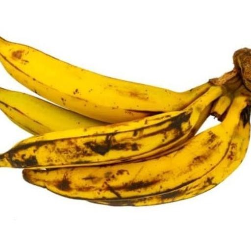 Bibit Pohon Pisang Tanduk / Buah Pisang Tanduk UNGGULAN SEGAR ATV