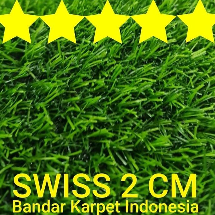 Karpet Rumput Swiss 2 Cm Rumput Sintetis Meter Rumput Sintetic Meter