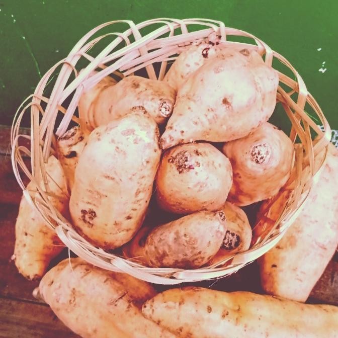 

IX Keranjang Bongsang / Packaging Ubi Matang ( maximal 2000 gram )