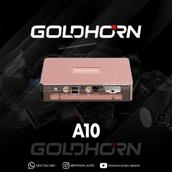 Dsp Amp Goldhorn A10