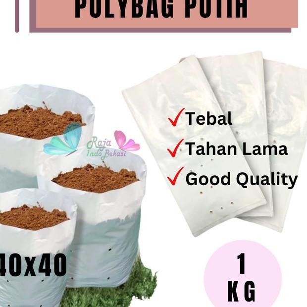 Naturee Raja Indo Grosir 1Kg Polybag 40X40 Putih Tebal Polibek Polibag 40 Cm