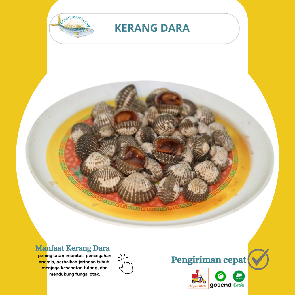 

Kerang dara/ Kerang dara seafood frozen 1kg