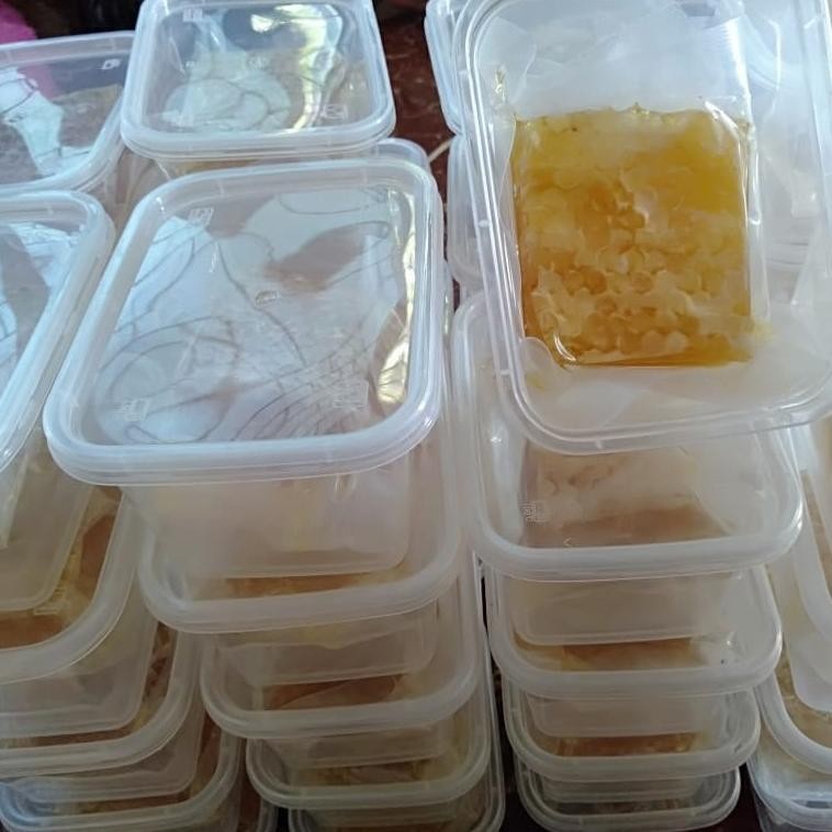 

(Terbaru) MADU SARANG ASLI madu sarang/sarang madu/honeycomb 100 gram FREE BOX (Terlaris)