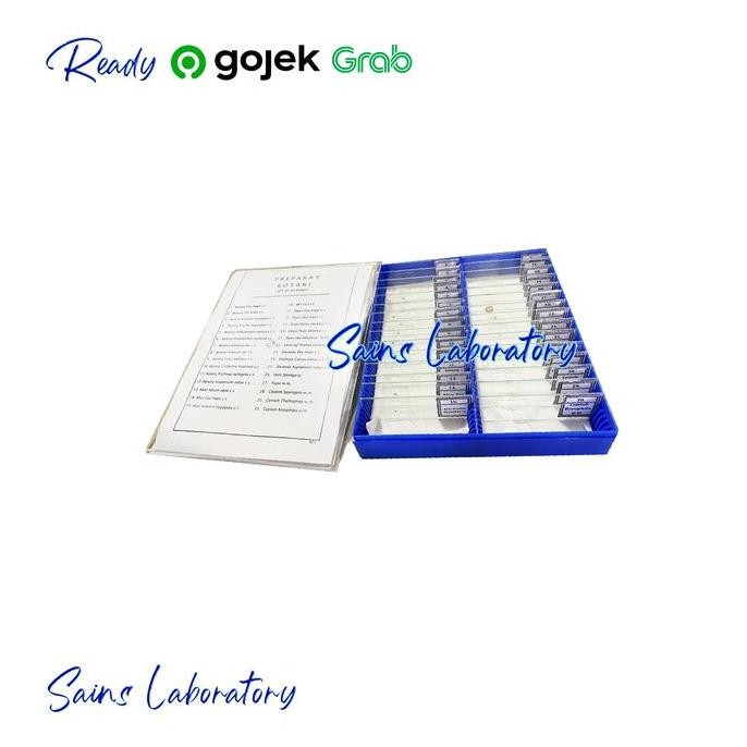 Preparat Botani Tumbuhan 1 Set 30 Jenis Awetan Preparat Set Mikroslaid