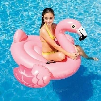 Ban Renang Warna Pink Santai Renang Dikolam Renang Pantai